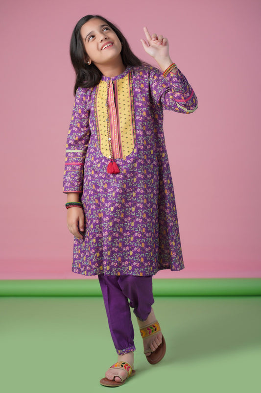 Stitched 1 Piece Printed Khaddar Shirt