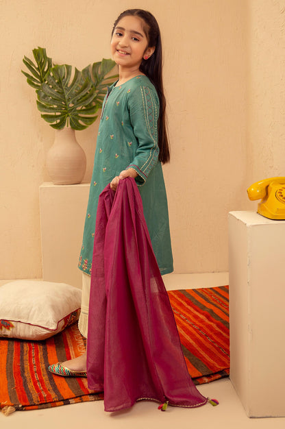 Stitched 2 Piece Embroidered Suit- Zari Stripe