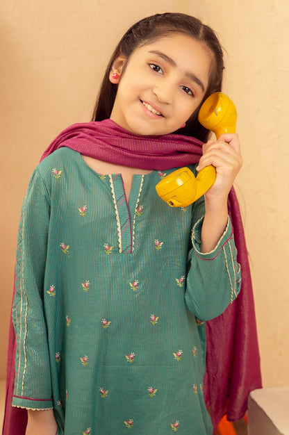 Stitched 2 Piece Embroidered Suit- Zari Stripe