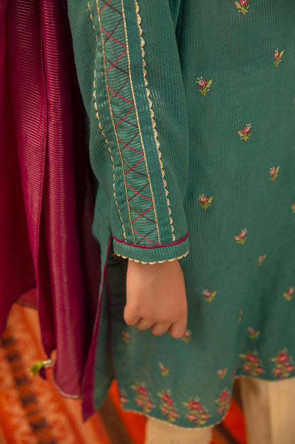 Stitched 2 Piece Embroidered Suit- Zari Stripe