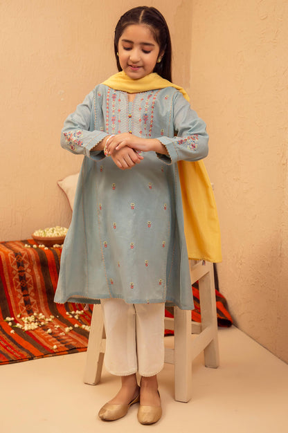 Stitched 2 Piece Embroidered Suit- Zari Stripe