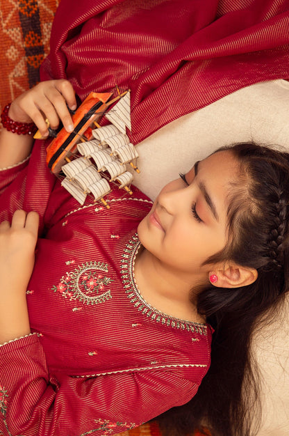 Stitched 2 Piece Embroidered Suit- Zari Stripe