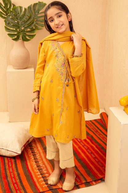 Stitched 2 Piece Embroidered Suit- Zari Stripe