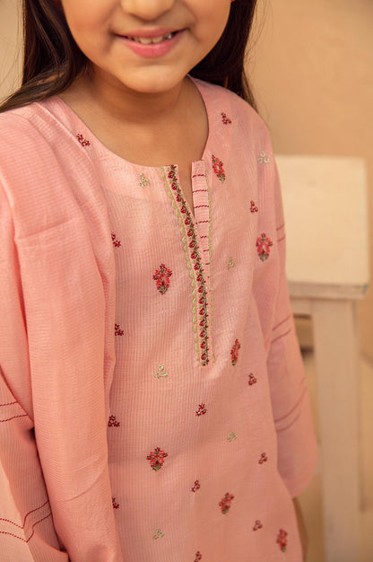 Stitched 2 Piece Embroidered Suit- Zari Stripe