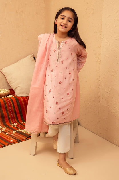 Stitched 2 Piece Embroidered Suit- Zari Stripe