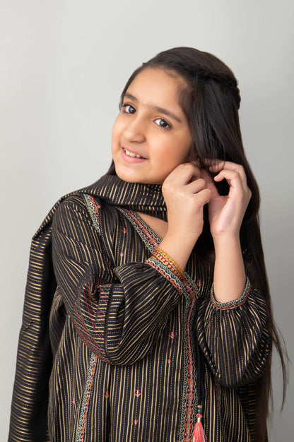 Stitched 2 Piece Embroidered Zari Stripe Junior Suit