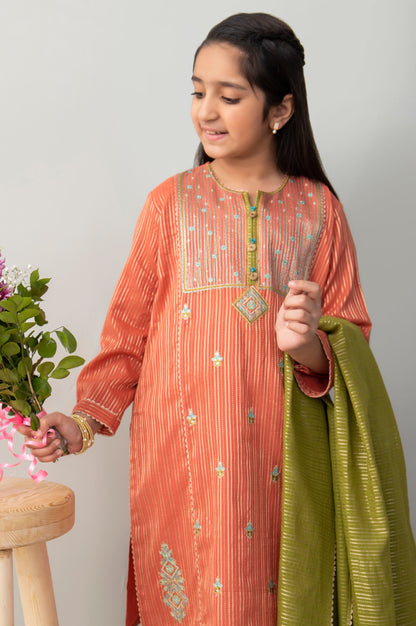 Stitched 2 Piece Embroidered Zari Stripe Junior Suit