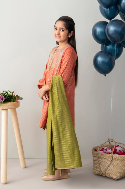 Stitched 2 Piece Embroidered Zari Stripe Junior Suit