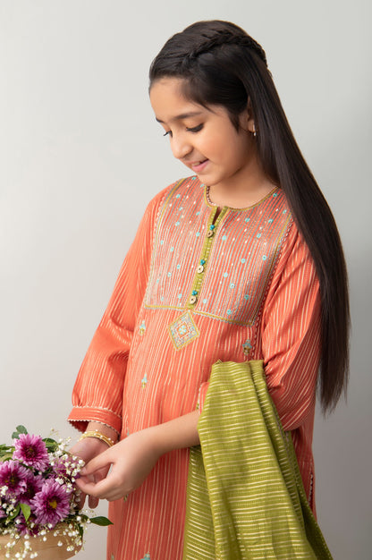 Stitched 2 Piece Embroidered Zari Stripe Junior Suit