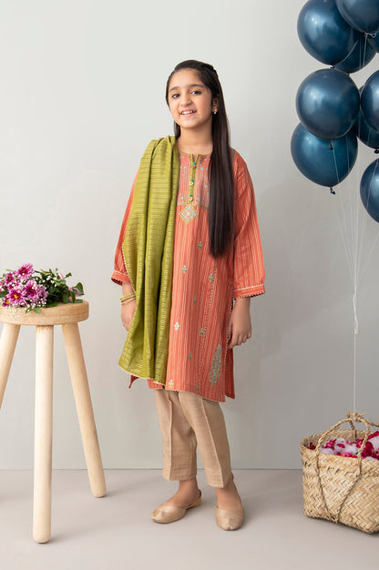 Stitched 2 Piece Embroidered Zari Stripe Junior Suit