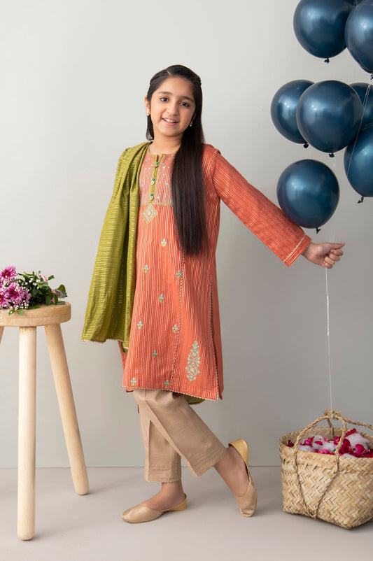 Stitched 2 Piece Embroidered Zari Stripe Junior Suit