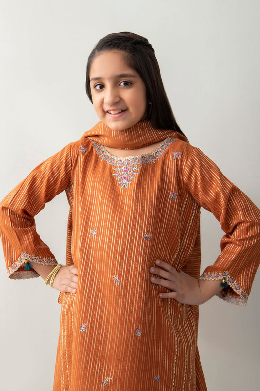 Stitched 2 Piece Embroidered Zari Stripe Junior Suit