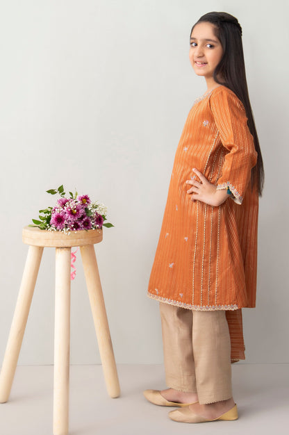 Stitched 2 Piece Embroidered Zari Stripe Junior Suit