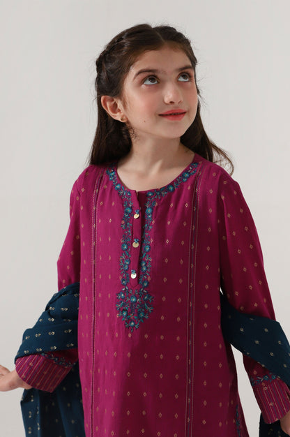 Stitched 2 Piece Embroidered Jacquard Suit