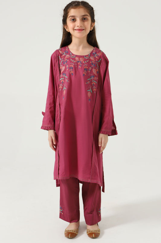 Stitched 2 Piece Embroidered Cambric Suit