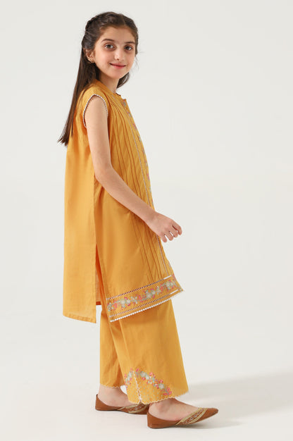 Stitched 2 Piece Embroidered Cambric Suit