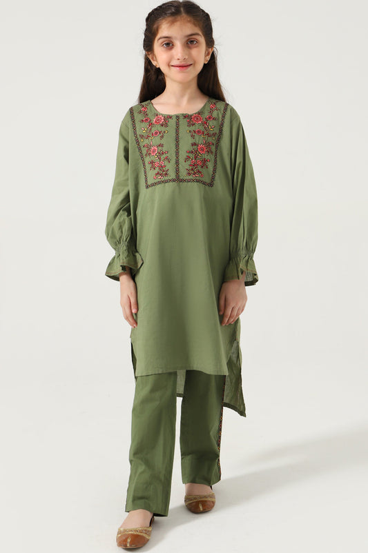 Stitched 2 Piece Embroidered Cambric Suit