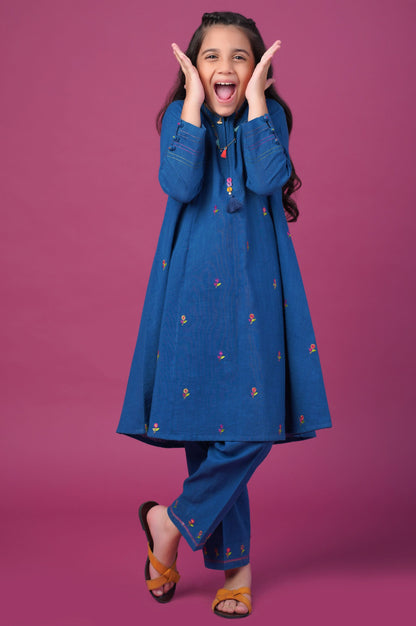 Stitched 2 Piece Embroidered Khaddar Suit