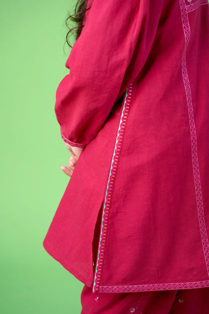 Stitched 2 Piece Embroidered Khaddar Suit