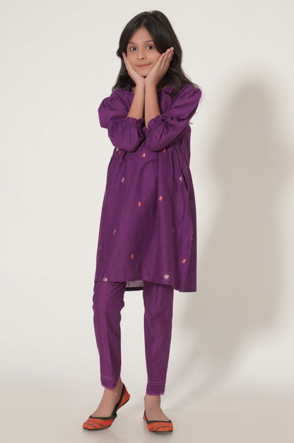 Stitched 2 Piece Embroidered Cotton Neps Suit