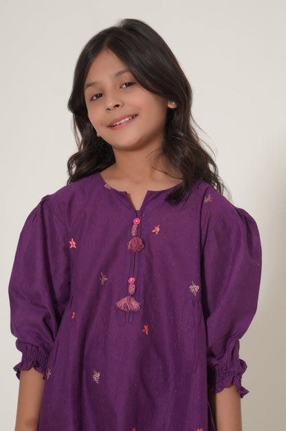 Stitched 2 Piece Embroidered Cotton Neps Suit