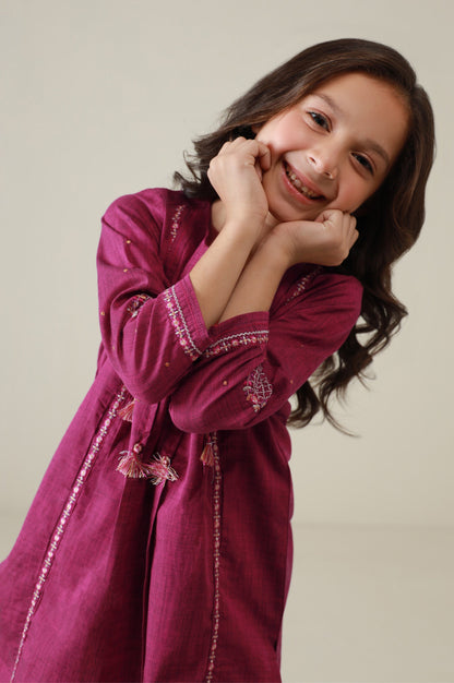 Stitched 2 Piece Embroidered Yarn Dyed Suit