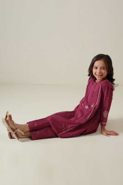 Stitched 2 Piece Embroidered Yarn Dyed Suit