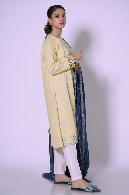 Stitched 2 piece Embroidered Cotton Slub Suit