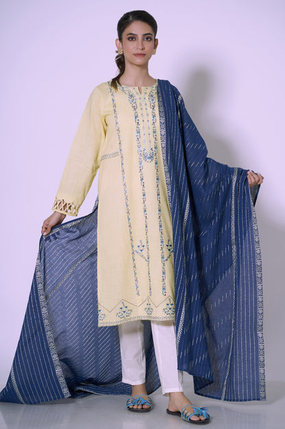Stitched 2 piece Embroidered Cotton Slub Suit