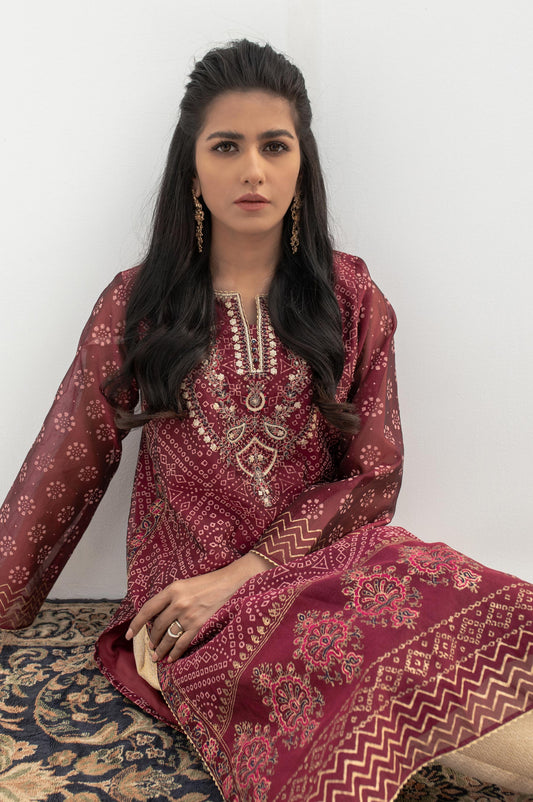 Stitched 1 Piece Block Print + Embroidered Shirt