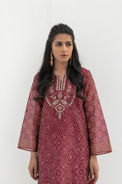 Stitched 1 Piece Block Print + Embroidered Shirt