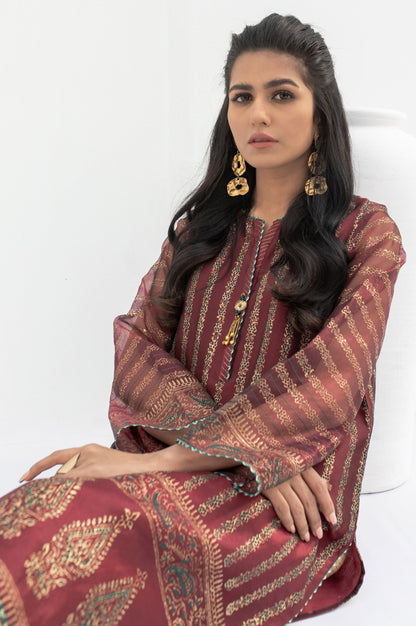 Stitched 1 Piece Organza Block Printed Shirt