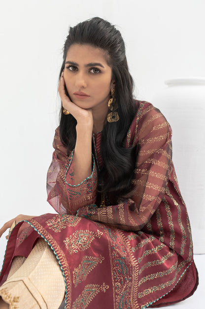 Stitched 1 Piece Organza Block Printed Shirt