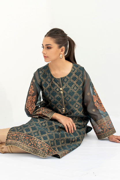 Stitched 1 Piece Block Printed Organza Shirt