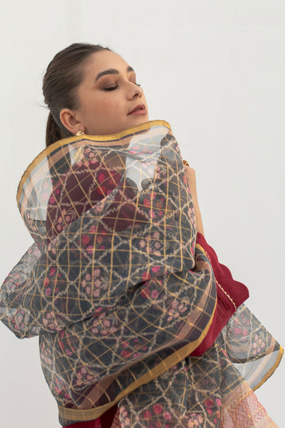 Stitched 2 Pieces Embroidered Organza Outfit