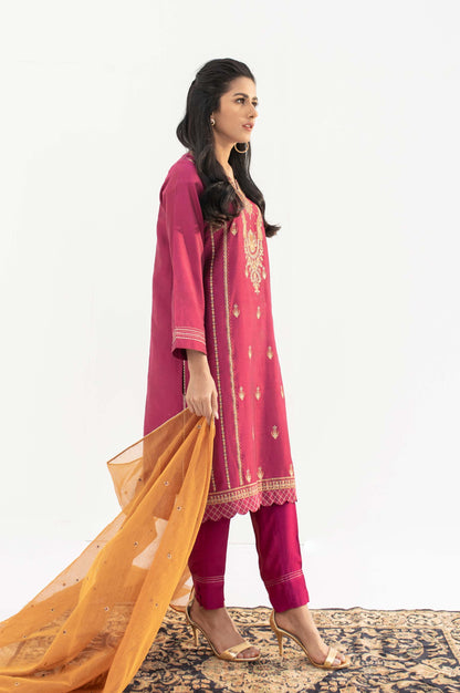 Stitched 2 Piece Cotton silk Embroidered Suit