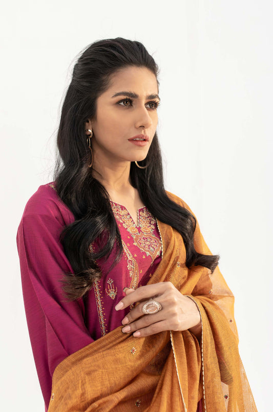 Stitched 2 Piece Cotton silk Embroidered Suit