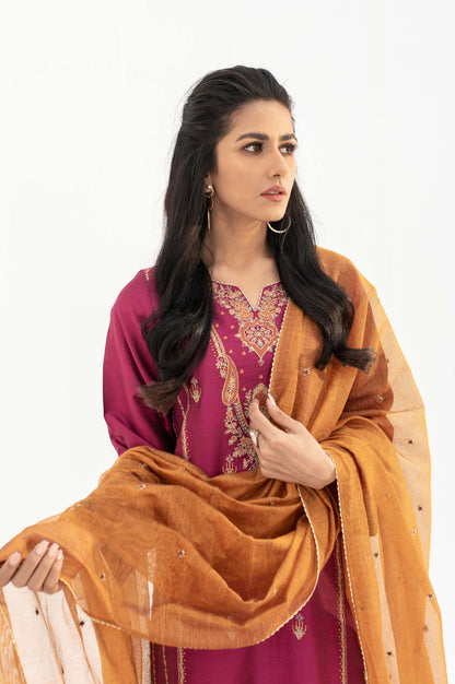 Stitched 2 Piece Cotton silk Embroidered Suit