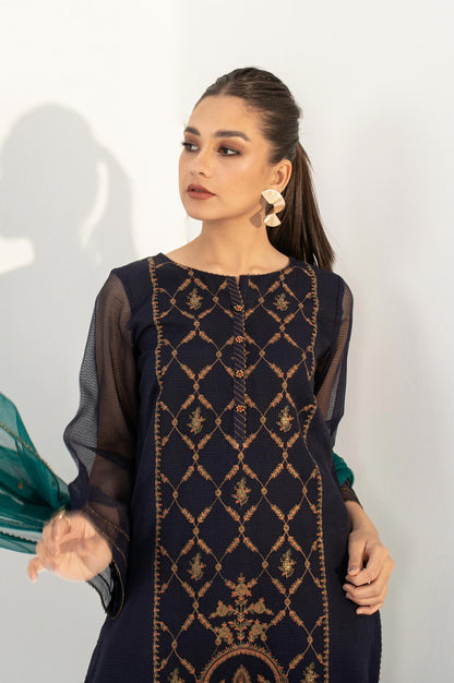 Stitched 3 Piece Textured Organza Outfit